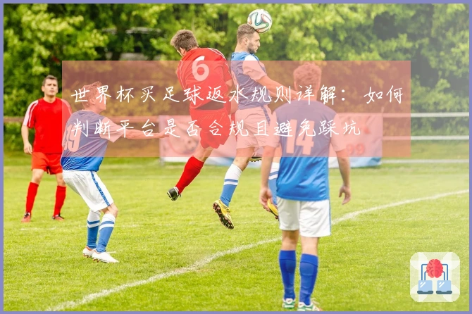 世界杯买足球返水规则详解：如何判断平台是否合规且避免踩坑