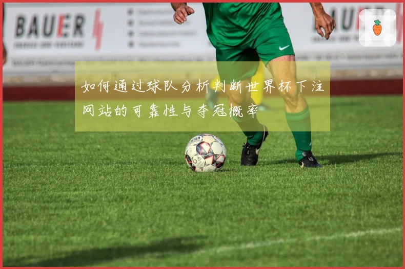 如何通过球队分析判断世界杯下注网站的可靠性与夺冠概率