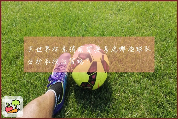 买世界杯竞猜前需要考虑哪些球队分析和投注策略？
