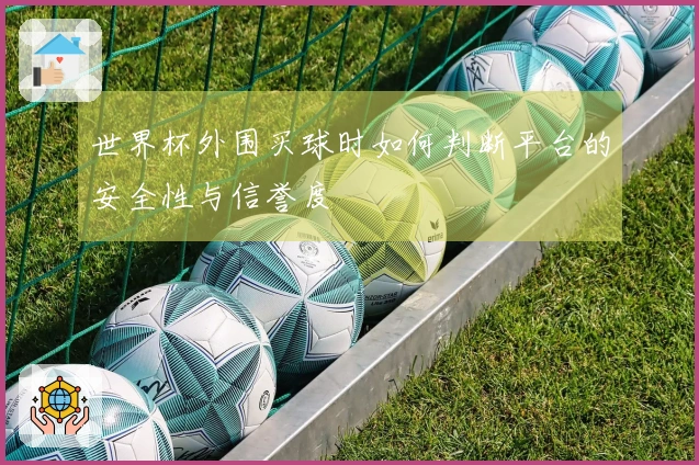 世界杯外围买球时如何判断平台的安全性与信誉度